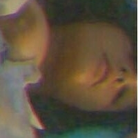 Angel Cakie Alaston