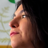 anitabasurita Alaston