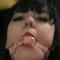 CutiepieTracer Alaston