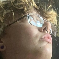 merricatdog Alaston