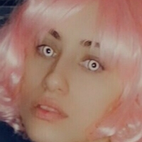 nekonchan Alaston