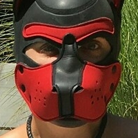 pupamp Alaston