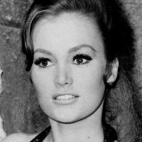 Quinn O'Hara Alaston