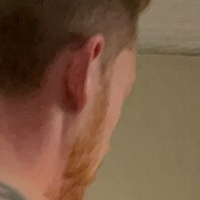 rough_ginger Alaston