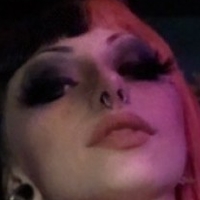 Shy Sugars Alaston