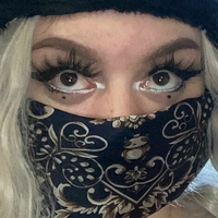 skimaskfaerie Alaston