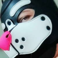 vixxypup Alaston