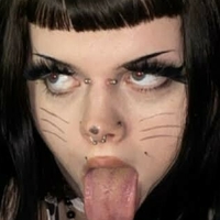 yourfavkittie Alaston
